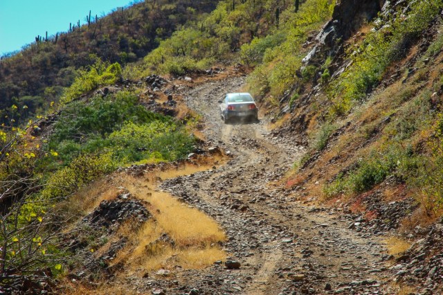 Jetta Climbing the Mountain