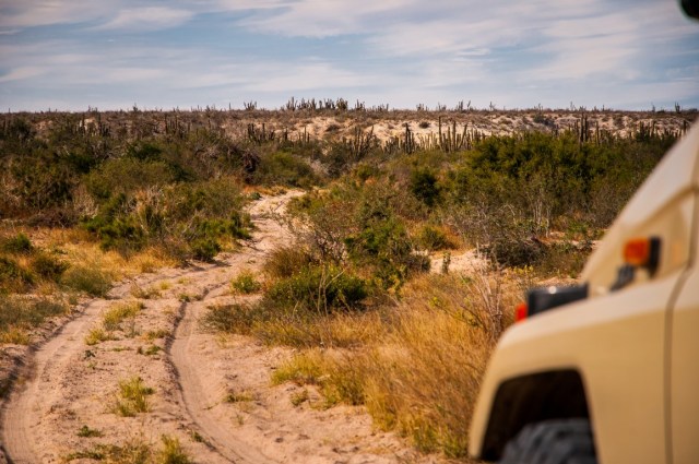 Track to Los Inocentes